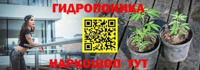 прущие крисы Кинель